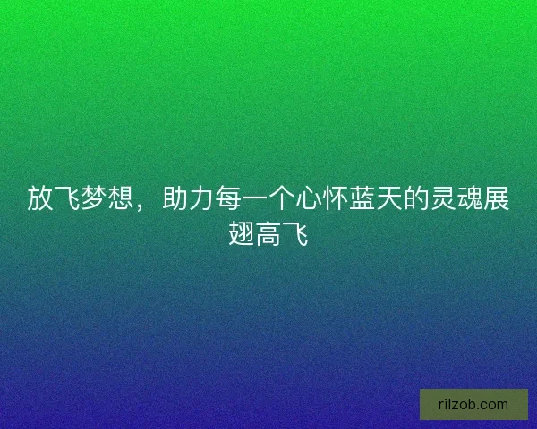 放飞梦想，助力每一个心怀蓝天的灵魂展翅高飞